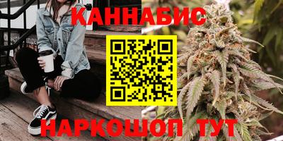 стафф Будённовск
