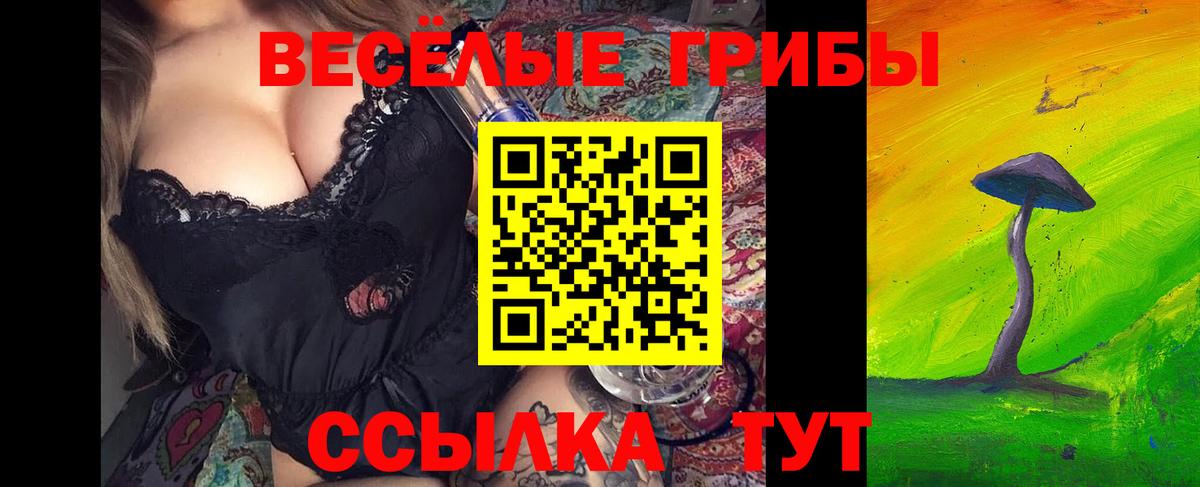 Псилоцибиновые грибы прущие грибы Тамбов