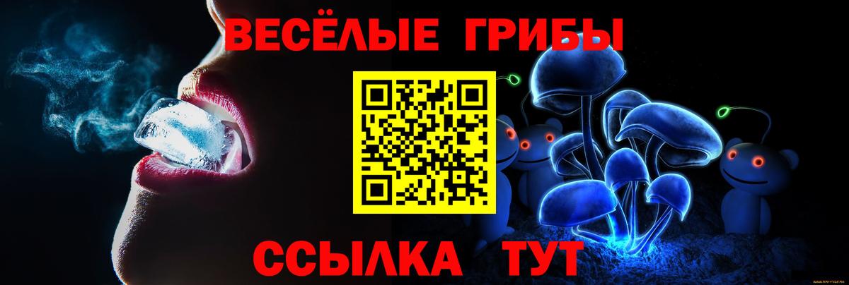 Галлюциногенные грибы GOLDEN TEACHER  Вход с VPN  Тамбов  Псилоцибиновые грибы Psilocybe 